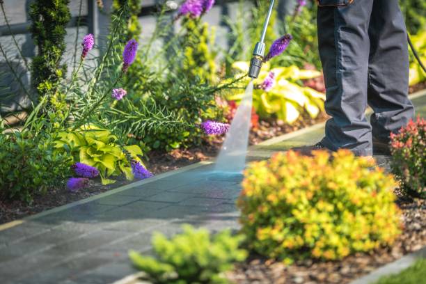 Best Pre-Holiday Cleaning  in Osceola Mills, PA